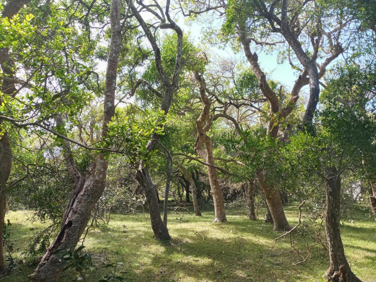 Casa De Campo Cerca Del Cabo Villa Rincón de los Oliveras Eksteriør billede