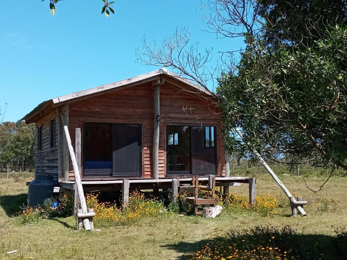 Casa De Campo Cerca Del Cabo Villa Rincón de los Oliveras Eksteriør billede